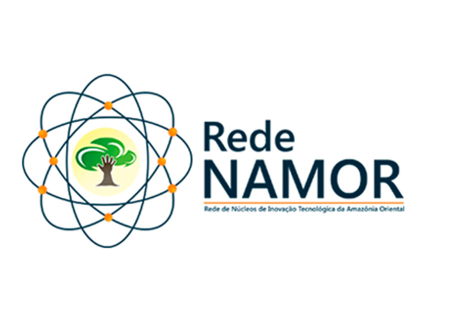 Rede NAMOR – Rede de Núcleos de Inovação Tecnológica da Amazônia Oriental